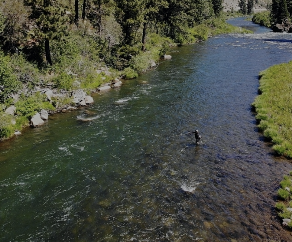 Truckee River 